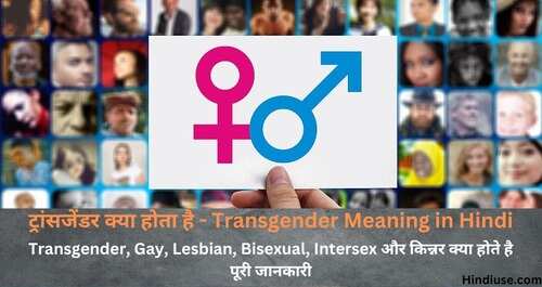 Transgender Gay Lesbian Meaning in Hindi